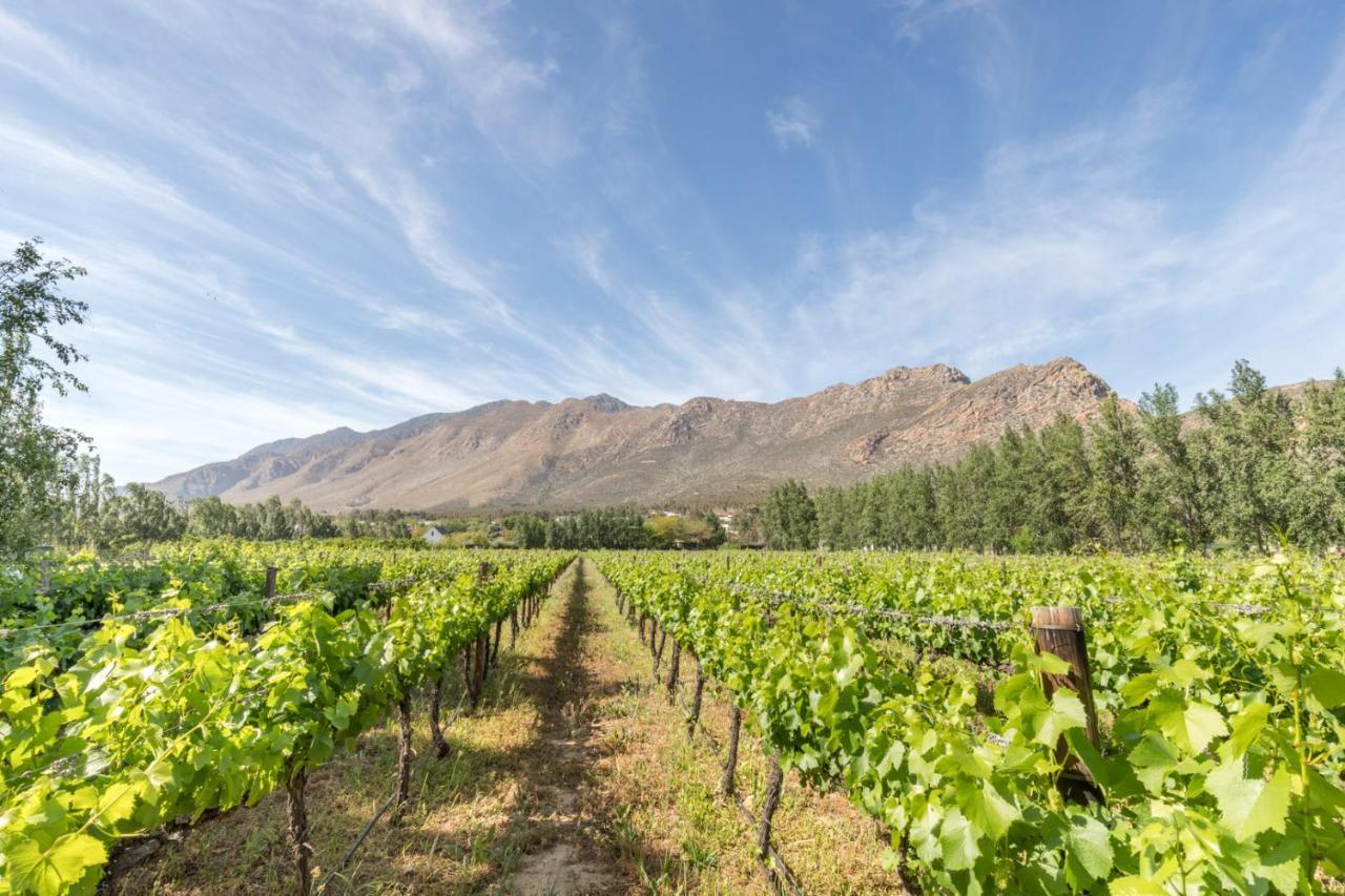 Klein Nektar Wine & Olive Estate Hotel Montagu Luaran gambar